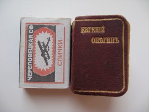 Евгений Онегин