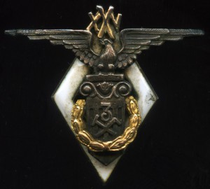 Знак в серебре