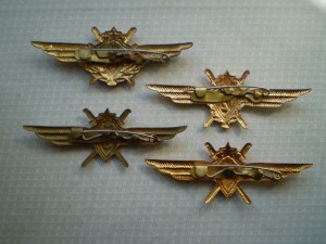 Крылышки Летчик-Штурман, комплект (66г)