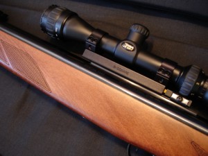 GAMO HANTER 1250 .