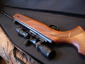 GAMO HANTER 1250 .