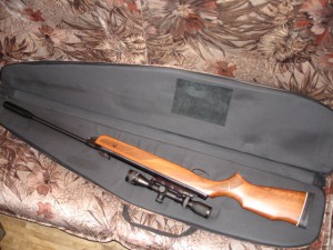 GAMO HANTER 1250 .