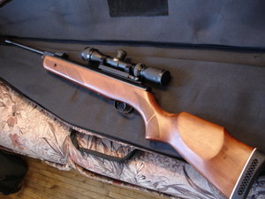 GAMO HANTER 1250 .