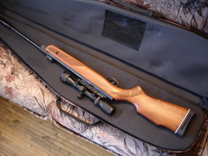 GAMO HANTER 1250 .