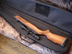 GAMO HANTER 1250 .