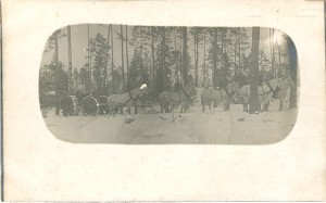 Русская фотооткрытка.1-я мировая.Пушка
