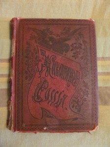 Живописная россия т.9