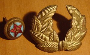 Кокарда состоявная АВИАЦИЯ ВВС.