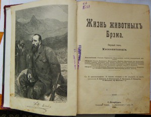 Брэм 1том