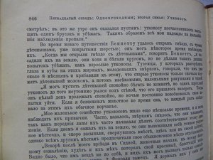 Брэм 1том