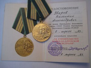 БАМ с доком