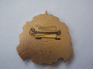 ветеран подводник ЛМД