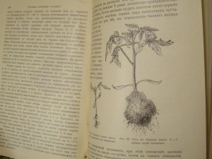 Парники и ранняя выгонка овощей, рассады и земляники 1914 г