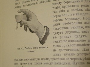 Парники и ранняя выгонка овощей, рассады и земляники 1914 г