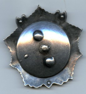 АН №9932 (клёп)