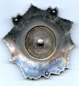 АН №9932 (клёп)