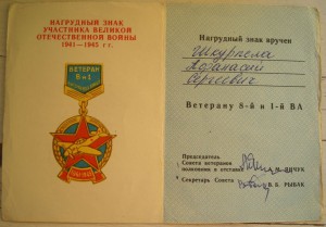 Два дока на знаки летчика