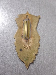 МОЛДАВСКИЙ ТЕХНИКУМ ФИЗКУЛЬТУРЫ