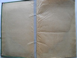 И.Забелин Быт русских цариц и царей(3 тома)