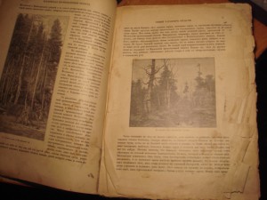 Живописная Россия