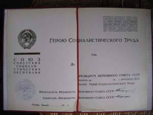 БГ ГСТ-чистая