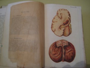 Цепь золотая( 2 шт), 585 проба