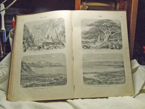 Альбом картин по географии внеевропейских стран (1904 г)