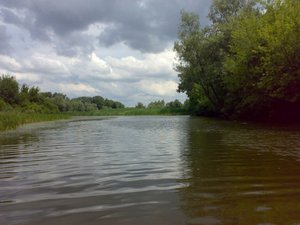 Ловись рыбка большая и очень большая...