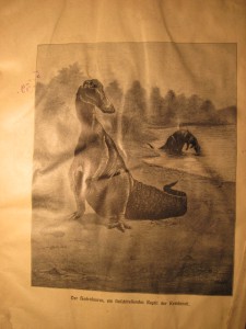 2 НЕМЕЦКИХ ЖУРНАЛА 1910 И 1927 год.