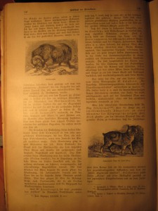 2 НЕМЕЦКИХ ЖУРНАЛА 1910 И 1927 год.