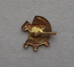Петличный знак 30-х годов.