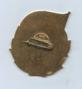 60 лет Куйбышевскому речному техникуму