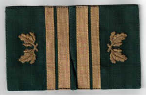 нарукавные нашивки - лесное ведомство