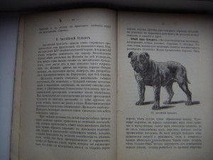 Франц Крихлер - Породы собак (1898)