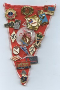 Несколько спортивных значков.
