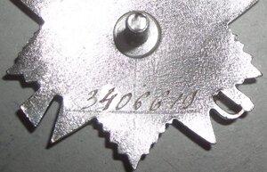 ОВ на Израиля Козлинера