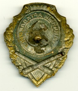 Отличный АРТИЛЛЕРИСТ (24 знака)