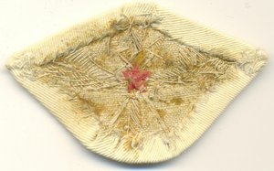 Нашивка-летная.