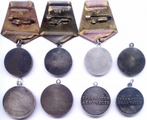 солянка серебра