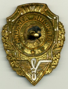 Отличник АВИАЦИИ (5 знаков)