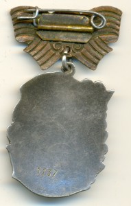 Материнская Слава БЕЗ МД.