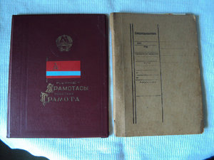 КОМПЛЕКТ из 33  интереснейших ДОКОВ на ПОЖАРНИКА ! ! !