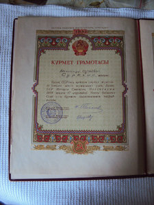 КОМПЛЕКТ из 33  интереснейших ДОКОВ на ПОЖАРНИКА ! ! !