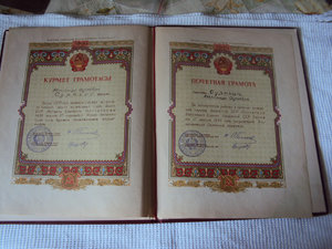 КОМПЛЕКТ из 33  интереснейших ДОКОВ на ПОЖАРНИКА ! ! !