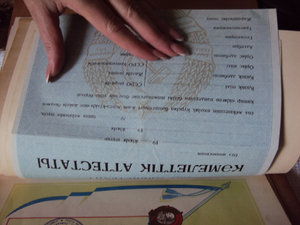 КОМПЛЕКТ из 33  интереснейших ДОКОВ на ПОЖАРНИКА ! ! !