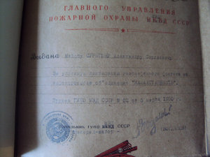 КОМПЛЕКТ из 33  интереснейших ДОКОВ на ПОЖАРНИКА ! ! !