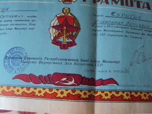 КОМПЛЕКТ из 33  интереснейших ДОКОВ на ПОЖАРНИКА ! ! !