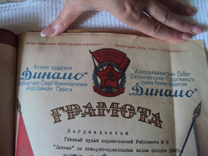 КОМПЛЕКТ из 33  интереснейших ДОКОВ на ПОЖАРНИКА ! ! !