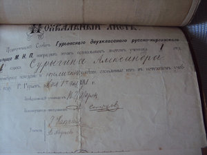 КОМПЛЕКТ из 33  интереснейших ДОКОВ на ПОЖАРНИКА ! ! !