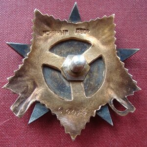 Ов1№60419 люкс